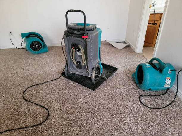 Best Water damage contractors near me  in Prceton, IN