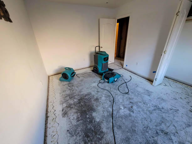 Best Mold removal after water damage  in Prceton, IN