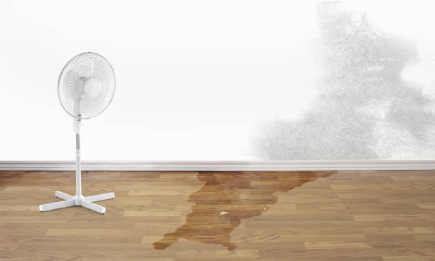 Best Water damage restoration insurance claims  in Prceton, IN