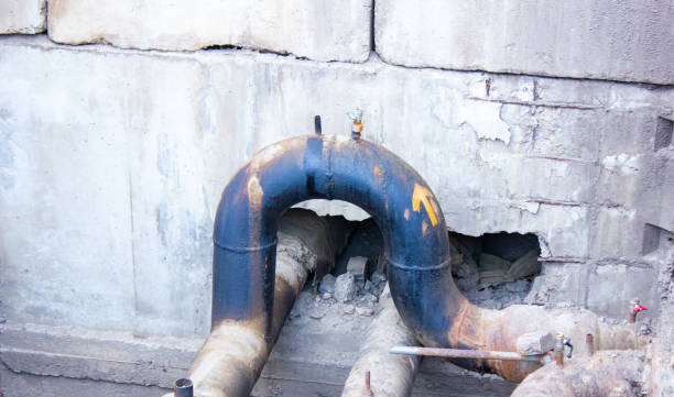 Best Water damage restoration specialists  in Prceton, IN